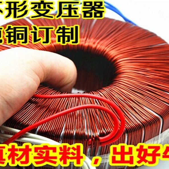 22020转输入VV2V1319V16环形变压器V18W2V2VVV1531420001V21V7V - 图0