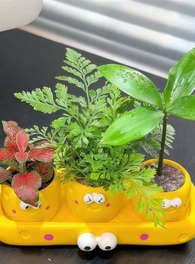 萌系拇指小花盆h办公室桌面精致陶瓷带托盘迷你多肉绿植摆件创意