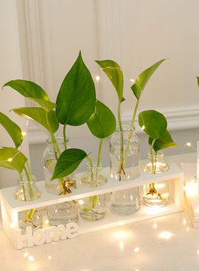 北欧风个性创意绿l萝水培玻璃插花小花瓶办公室房间客厅装饰品摆