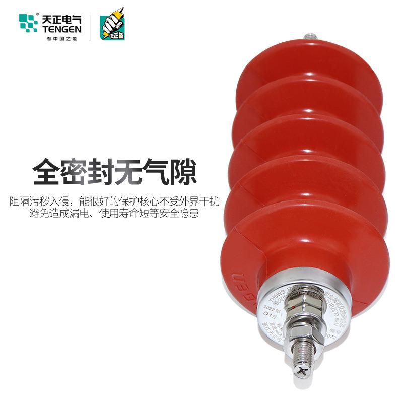 天正10KV高压配电型防雷器避雷器YH/HY5WS-17/50户外硅橡胶一体式 - 图2