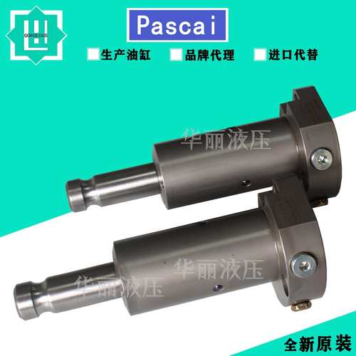 PASCAL 帕斯卡液压缸 CTV10B-R支撑缸 油缸CSY03-L CSU CST CSS12 - 图2