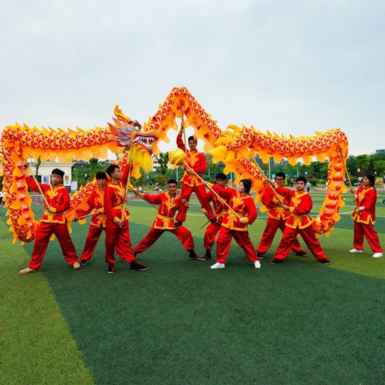 No. 3 No. 9 Satin Dragon Dragon Dance Props Dragon Lantern Props Dragon Dance Lion Dance Light Dragon Stage Event Performance