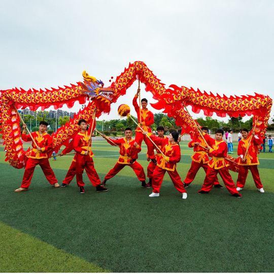No. 3 No. 9 Satin Dragon Dragon Dance Props Dragon Lantern Props Dragon Dance Lion Dance Light Dragon Stage Event Performance