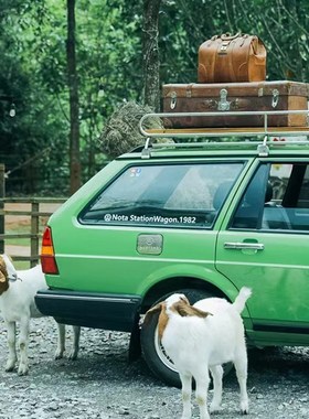 牛皮老上海老式拎包小皮箱摄影道具旅行包M牛皮箱古董摆设背景旅