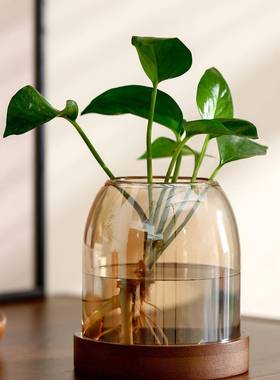 复古玻璃花瓶家用电柜水培插小花摆件办公室器桌面精视致F996TSM6