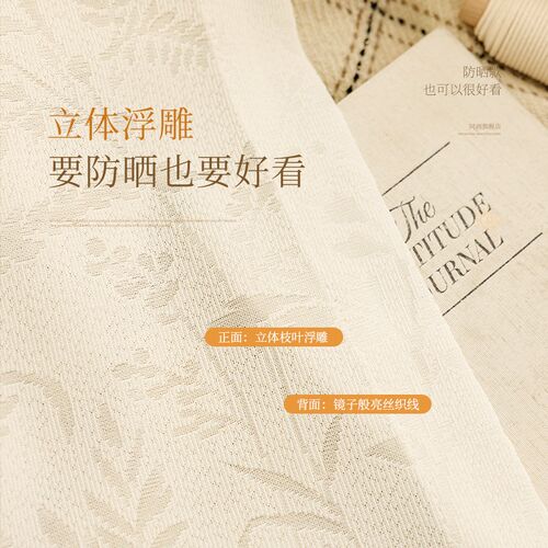 奶油色镜面纱窗帘纱帘透光不透人窗纱阳台K遮阳客厅飘窗防晒隔热 - 图1