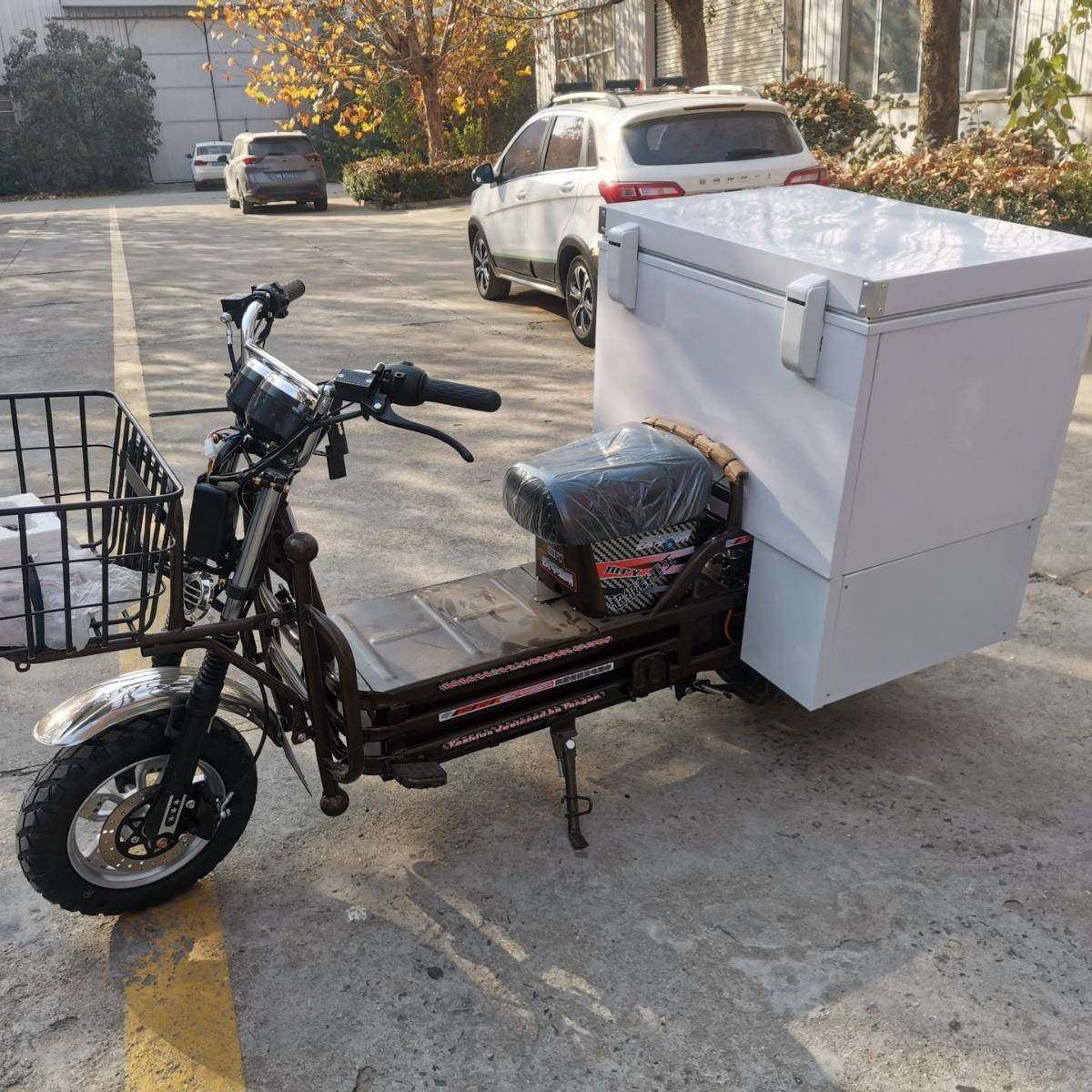 蔬菜水果牛奶雪糕海鲜保鲜车载冰箱两轮电动冷藏车运输车配送车,淘宝优惠券,粉丝福利购,淘宝优惠卷