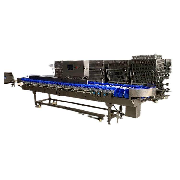 生蚝牡蛎海参料盒式重量分级机鱼肉称重分拣机鸡腿重量多级分选机,淘宝优惠券,粉丝福利购,淘宝优惠卷