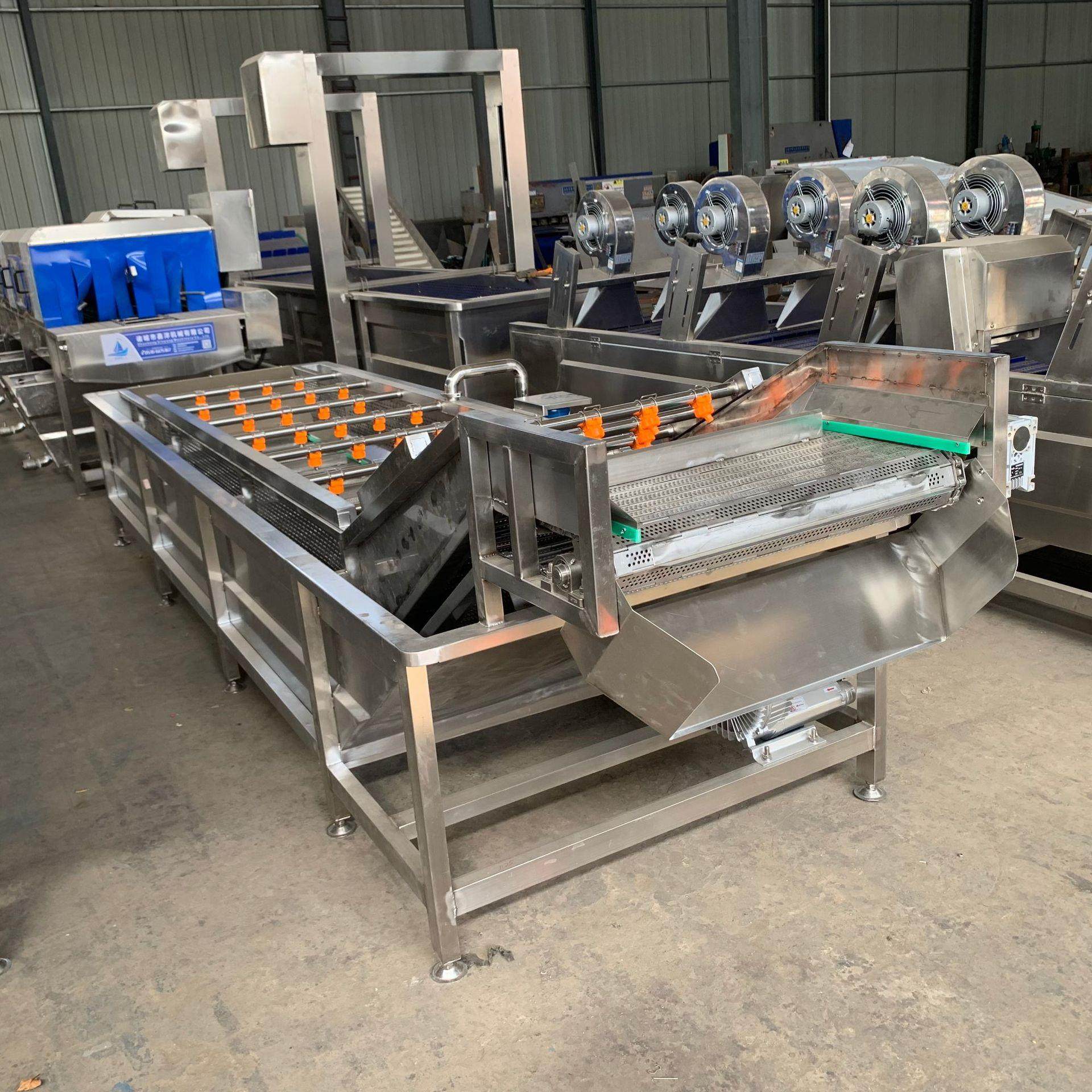 粽叶清洗线预制菜草莓气泡清洗机不锈钢材质喷淋加热式清洗设备,淘宝优惠券,粉丝福利购,淘宝优惠卷