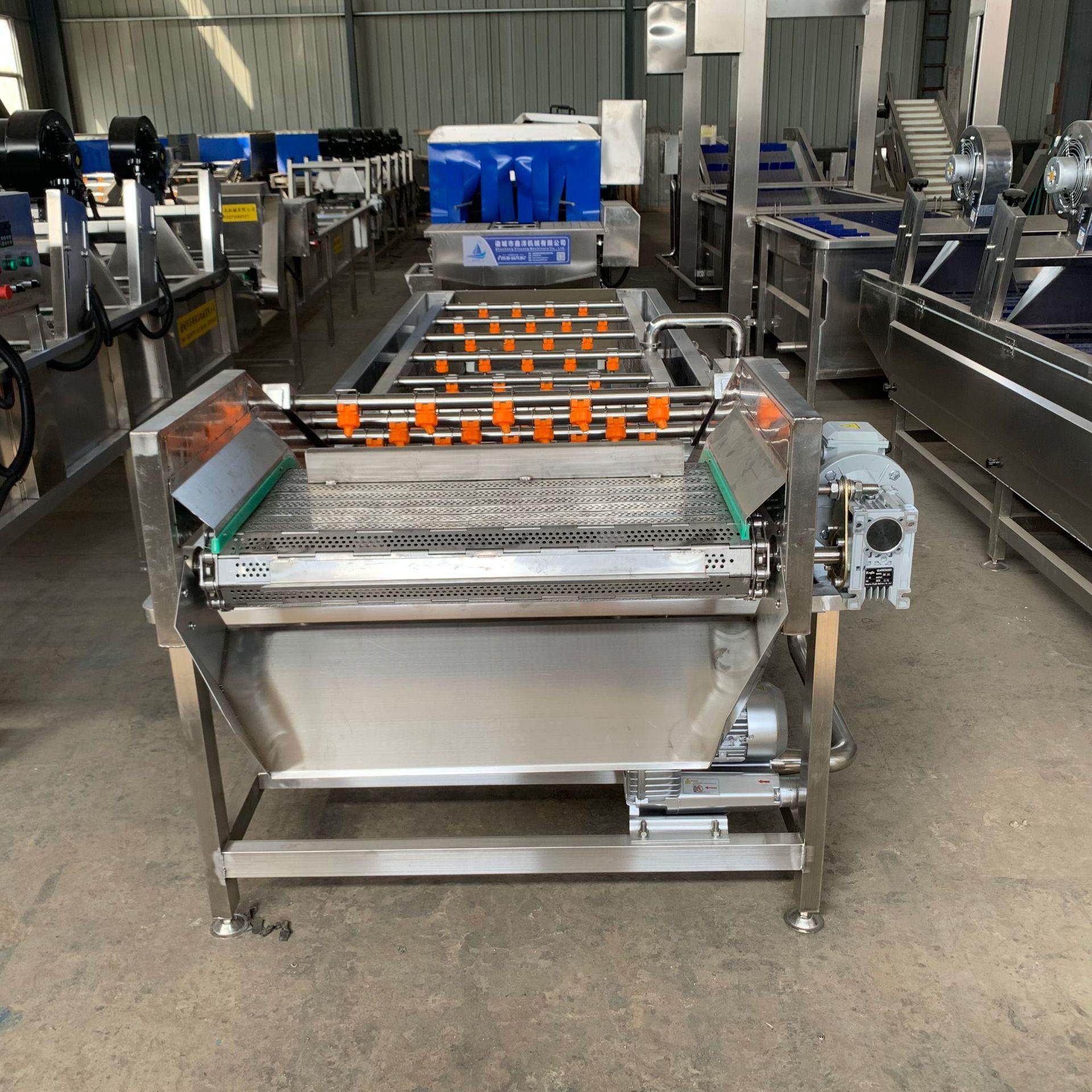 粽叶清洗线预制菜草莓气泡清洗机不锈钢材质喷淋加热式清洗设备,淘宝优惠券,粉丝福利购,淘宝优惠卷