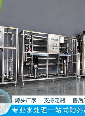 大水型商用348O渗透纯净反水设备edi超纯水设备去离子水纯化制水R
