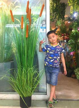 洋葱草仿色真盆栽888软水蜡园烛植物艺景观民宿装家居绿装饰摆件