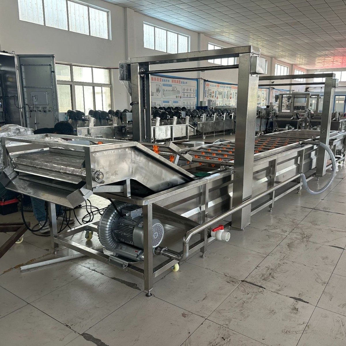 水浴式猪头猪蹄解冻机 带鱼海鲜冻盘清洗设备 无骨鸡爪缓化解冻线,淘宝优惠券,粉丝福利购,淘宝优惠卷