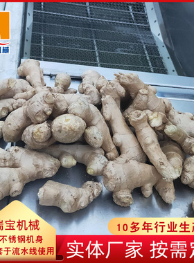 XJ-6000型洗姜机高压喷淋洗姜机鲜姜去泥沙清洗机