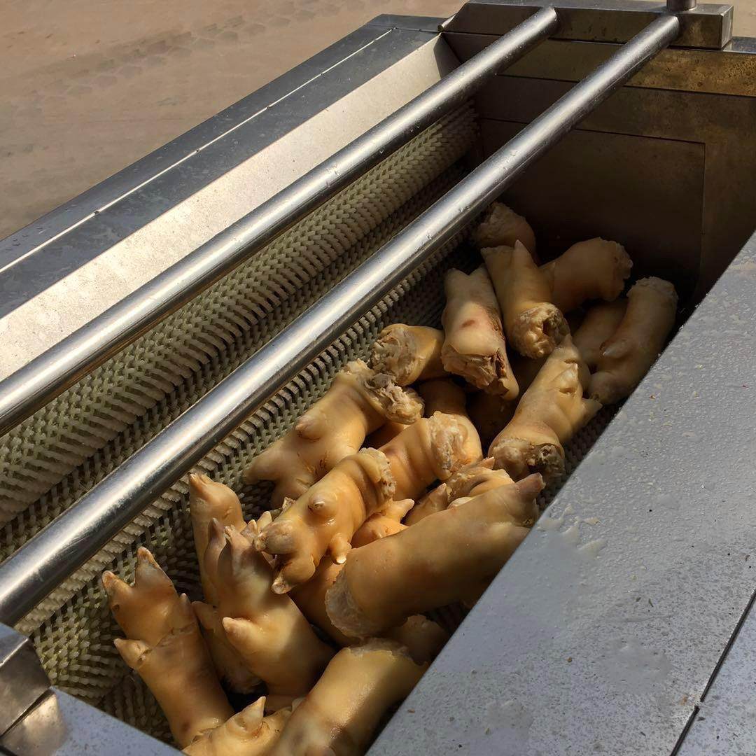 厂家供应毛辊清洗机 马铃薯清洗去皮设备 猪蹄牡蛎清洗机 去杂机,淘宝优惠券,粉丝福利购,淘宝优惠卷