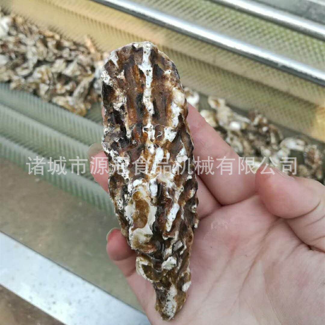 厂家供应毛辊清洗机 马铃薯清洗去皮设备 猪蹄牡蛎清洗机 去杂机,淘宝优惠券,粉丝福利购,淘宝优惠卷