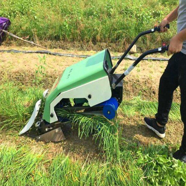 韭菜收割机 手推式纯电动行全自动油菜茼蒿收获机,淘宝优惠券,粉丝福利购,淘宝优惠卷