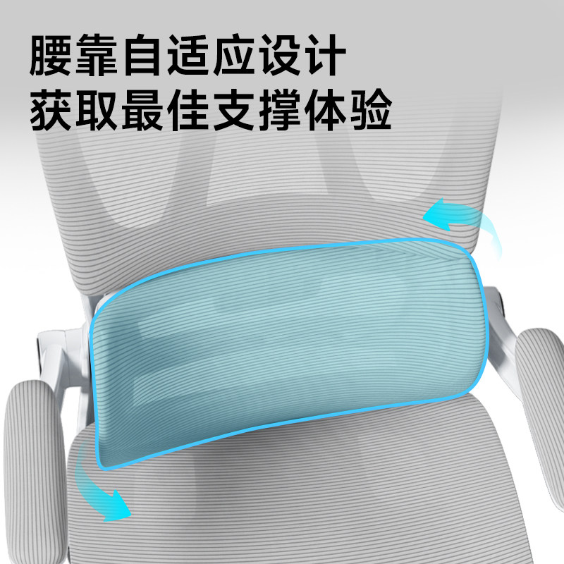 享学电脑椅人体工学椅家用舒适办公室椅子久坐护腰靠背椅电竞椅子