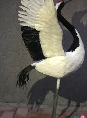 仿真羽毛b丹顶鹤羽毛展翅仙鹤假鸟演示道具园林装饰橱窗室内摆件