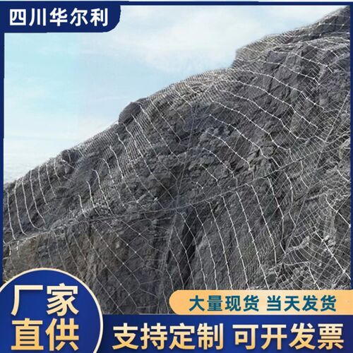 主动边坡防c护网柔性被动环形防落石E钢丝网公路山体立柱式拦石网 - 图0
