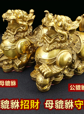 貔貅摆件铜皮丘貔恘镇v宅店铺家居办公室开业礼物防尘罩