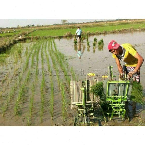 捷胜牌 人力手摇式插秧机 农业育苗机械种植机 农用耕种机械,淘宝优惠券,粉丝福利购,淘宝优惠卷
