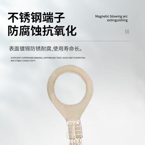 法兰跨接线防静h电连接线桥架圆形耐腐蚀6平方接地铜编织304不锈 - 图0