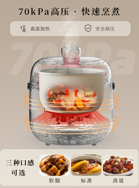 半球电压力锅家用小型新款