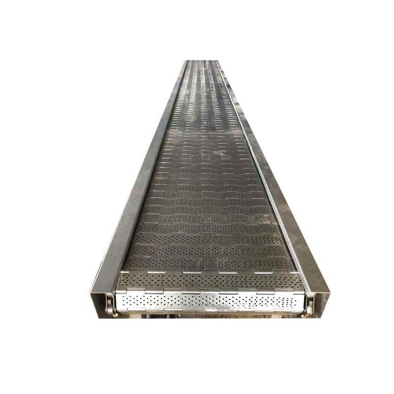 物流分拣线蔬菜清洗加工设备不锈钢链板输送机排屑机板式输送机 - 图3