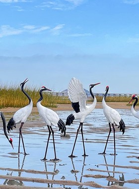 户外仿真仙鹤雕塑水池塘白鹭装y饰花园林鸟玻璃钢景观模型白鹤摆