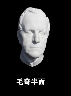 大卫头石膏像美术写生教具室内家居摆件素描写生希腊石膏模型几何