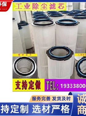 滤筒除尘器配件阻燃覆膜滤芯涂装抛丸机滤筒集粉尘防静电过滤网筒