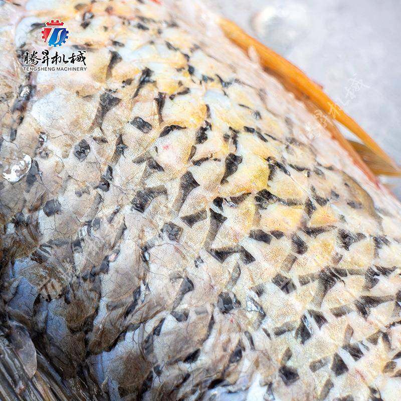 鲜活鱼剖杀设备家用商用杀鱼机全自动鱼类剖杀开肚设备,淘宝优惠券,粉丝福利购,淘宝优惠卷