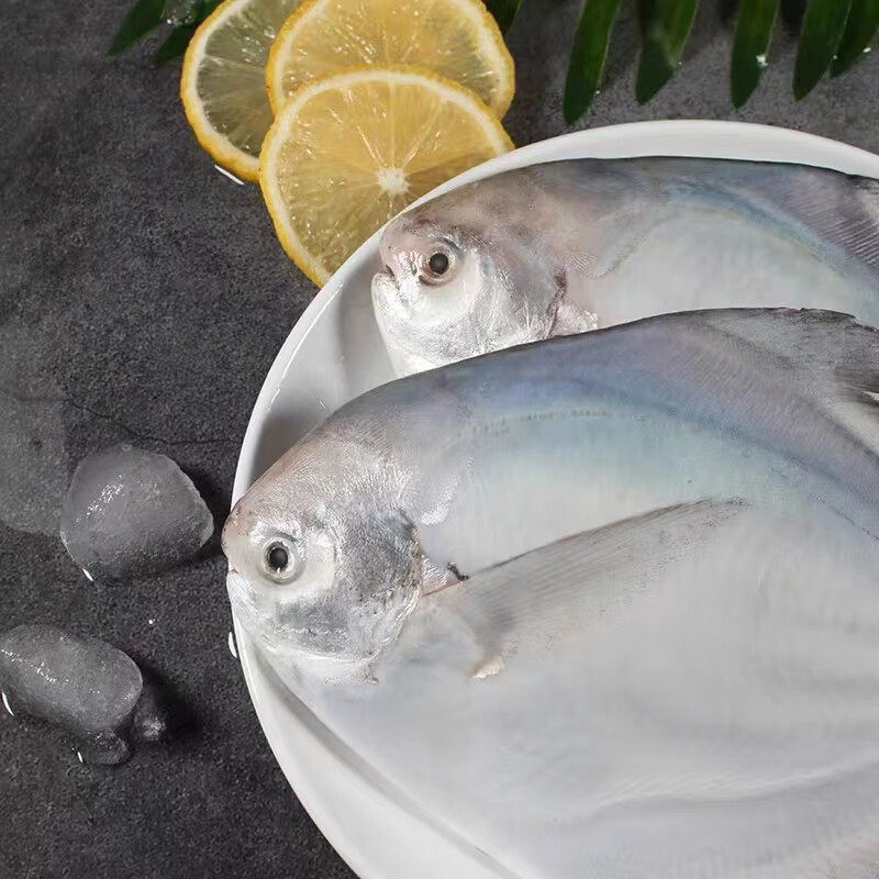 【象山原产地特产】海鲜鲳鱼流网鲜新鲜活冻鲳鱼平鱼鲳鳊鱼白鲳鱼,淘宝优惠券,粉丝福利购,淘宝优惠卷