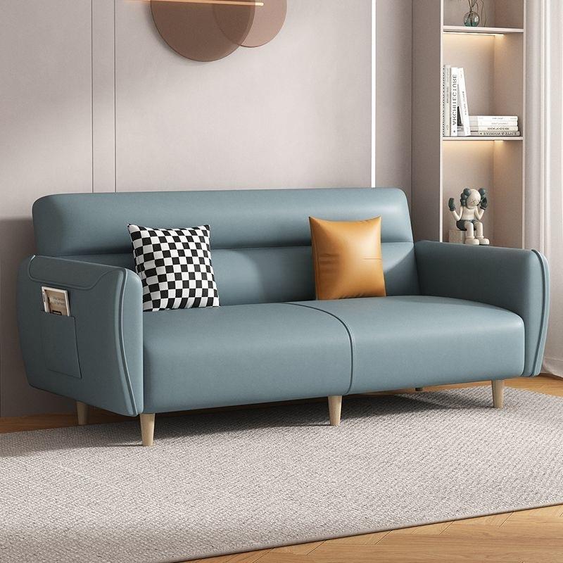 2025新款沙发床小户型客厅公寓布艺小沙发卧室网红款出租房懒人木 - 图2