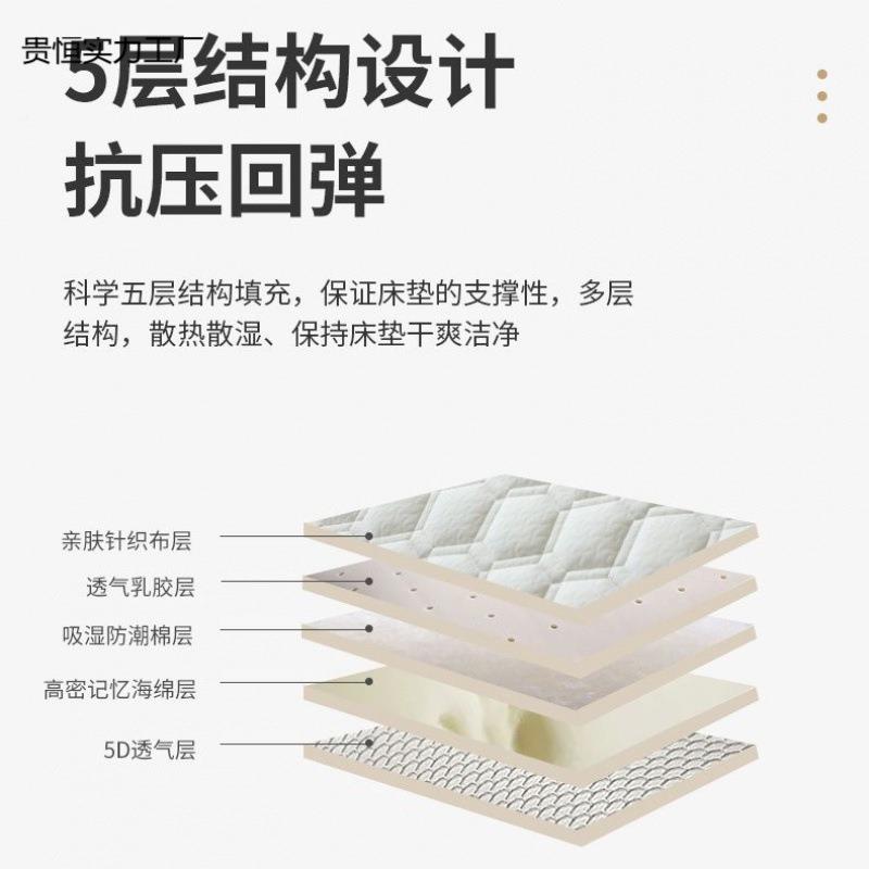 床垫51*1.*1*1..2*1*1.*1.4*1.6*1.8WBV*1.92m家用榻榻米软垫 - 图2