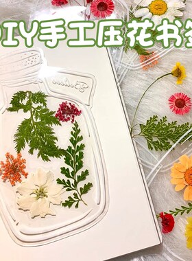 玻璃瓶自制手工瓶子里的春天干花书签diy材料透明标本植物贴纸