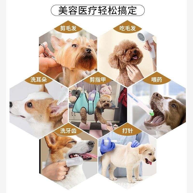宠物美容吊床猫咪狗狗剪指甲固定器泰迪挂钩式喂药防抓神器猫吊袋,淘宝优惠券,粉丝福利购,淘宝优惠卷