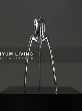 本与现代家居客厅电视r柜创意艺术摆件样板房间软装饰品轻奢摆件