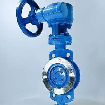 D373H-16C/10CD373W-10P铸钢/不锈钢304涡轮硬密封对夹式蝶阀,淘宝优惠券,粉丝福利购,淘宝优惠卷