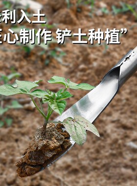 小铲子园艺林挖野菜种花工具家用花铲不锈钢加厚铁铲户外种植盆栽