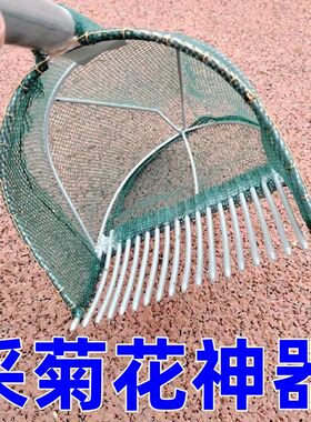 采摘神器茶籽摘花机采摘工具收集菊花抄子北京菊胎菊大花采花机