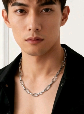 钛钢项链男女同款冷淡风简约小众轻奢网红锁骨链欧美气质百搭