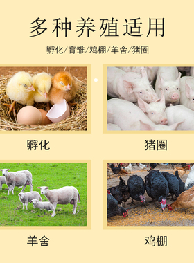 孵化专用温度计高精度孵化箱小鸡育雏养殖水银温度计30-40精度0.1