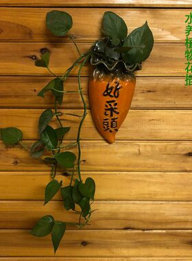 皿湾创意家居水养植物挂墙挂壁墙壁装饰石器花陶瓷公仔插品花瓶