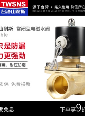 电磁开关阀水管电控水阀220v常闭型12v电动气阀常开24v汽车淋水器