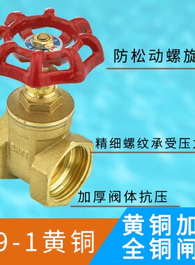全铜闸阀开关4分6分1寸2dn15 20 25 32 50铜闸阀自来水总阀阀门40