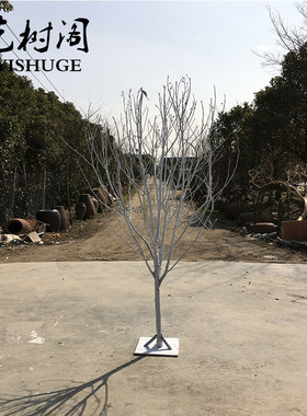 白色干树枝造景干枝树干许愿树枯树室内造型树枝干原木树枝装饰树