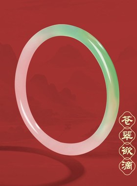 普陀山白月光玉髓女款手镯天然新中式国风玉镯送女友妈妈节日礼物