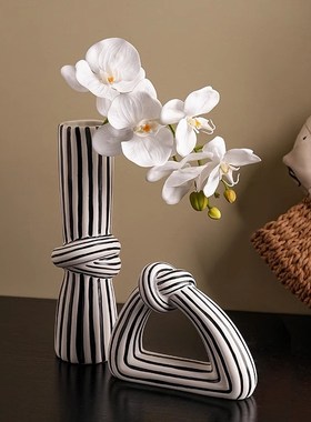 花瓶轻奢高级感摆件高档客厅2025E新款电视柜展示柜酒柜家居装饰